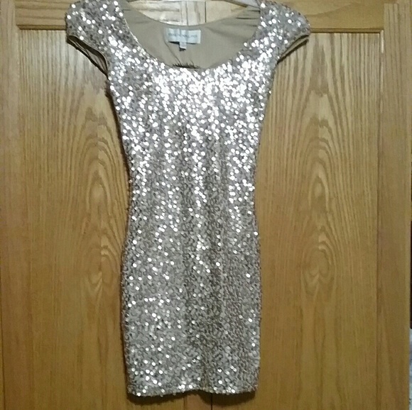 Dress the Population Dresses & Skirts - Dress The Population Gabriella Dress-Sz S